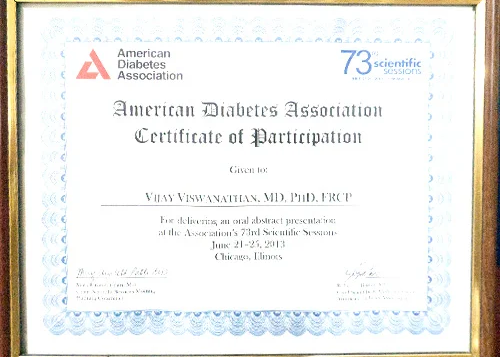 Americon Diabetes Association 2013